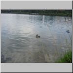 2010-07-04 - 13-58-26.JPG